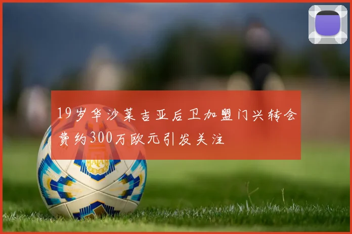19岁华沙莱吉亚后卫加盟门兴转会费约300万欧元引发关注