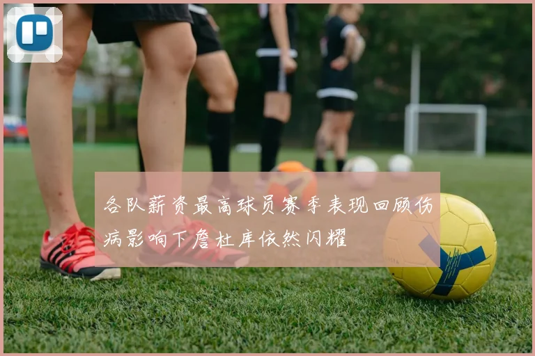 各队薪资最高球员赛季表现回顾伤病影响下詹杜库依然闪耀